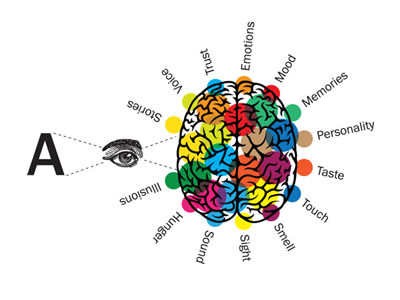New Book The Type Taster: How Fonts Influence You
